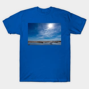 Winter Blues At Salt Plains National Wildlife Refuge Oklahoma T-Shirt